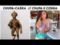 CHUPA CABRA // CHUPA E COBRA 😏| MEMES EM IMAGENS