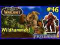 Let's Play World Of Warcraft, Hunter #46: Wildhammer Lands!