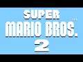 Overworld (PAL Version) - Super Mario Bros. 2