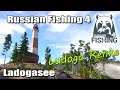 Russian Fishing 4 ★ Ludoga Renken Spot an der Brücke | Ladoga See | RF4 Deutsch
