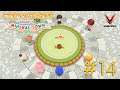 Story of Seasons: Friends of Mineral Town (No commentary) | #14
