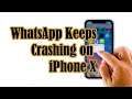 How to fix WhatsApp that keeps crashing on iPhone X after iOS 14.2 update