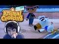 SAVE the Seagull | Animal Crossing: New Horizons Part 3 Walkthrough