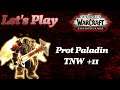 Schutz Paladin Shadowlands - TNW 11 - Let's Play WoW Dungeon