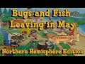 Every Bug and Fish Leaving in May on the Northern Hemisphere: Animal Crossing New Horizons