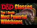 Moon Druid Wild Shape Guide: Top 3 Beasts for Tier 1