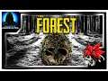 The Forest | Madog Plays | Ep.6 - Deforestation! And now we have a Fort!!!