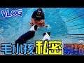 【阿杰】大白熊好大,我的小紅茶真的會游泳了 (紅茶Vlog)