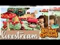Working on my Island (Decorating) - ACNH | Animal Crossing New Horizons LIVESTRERAM