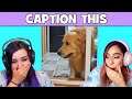 Caption This! w/ LaurenZside - Try Not To Laugh