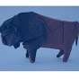 BuffaloBlueString