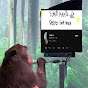 macaco plays