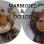 Marmoset & Ocelot