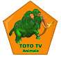TOTO TV Animals
