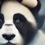 Tuff Panda