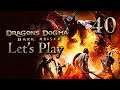 Dragon's Dogma Let's Play - Part 40: A Warm Welcome