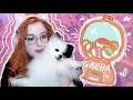 MMORPG Real Life Unboxing! Feat. My Puppy | Mabinogi