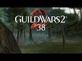 Guild Wars 2 [Let's Play] [Blind] [Deutsch] Part 38 - Jetzt mit mehr Inhalt