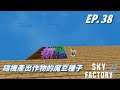 【HiHi】 Minecraft Sky Factory4 天空工廠4 EP.38隨機產生作物的魔豆種子