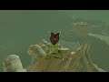 The legend of zelda breath of the wild Gameplay 81 (Switch) A la recherche de korogus (parties 16)