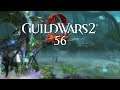 Guild Wars 2 [Let's Play] [Blind] [Deutsch] Part 56 - Das Rage-Rechnen