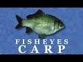 4【フィッシング】ヘラブナ / Carp《Fish Eyes / Reel Fishing PS1》