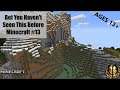 Bet You Haven't Seen This Before - Minecraft #13
