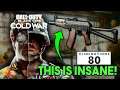 The Best Gun In Call of Duty Black Ops Cold War!