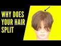 Why Does your Hair Split - TheSalonGuy