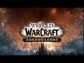 World of Warcraft: Shadowlands | PVP Battlegrounds! | iLVL 196 Paladin Tank