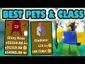 FINALLY GETTING BETTER PETS!!! + BEST CLASS! | Roblox Saber Simulator