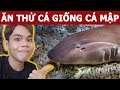 Lần đầu ăn thử loài cá giống cá mập | Oops Banana Vlog 142