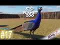 Planet Zoo #017 - Futterplatz | Lets Play Planet Zoo