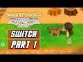 Story of Seasons: Friends of Mineral Town - Gameplay Walkthrough PART 1 (English, SWITCH)