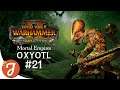 Dark Elves Banking Crisis | Oxyotl #21 | Total War: WARHAMMER II