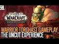 Two Hours In Torghast As A Warrior - WoW Shadowlands Alpha