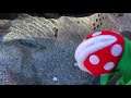 Piranha Plant Puppet tries a sip on the Hot Tub!