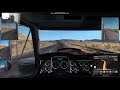 Facecam Test with American Truck Simulator