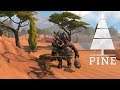 Pine #3 ~ "Meeting" The Rest Of The Tribes