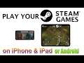 Steam Link - Play PC Games on your Phone!