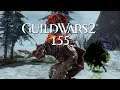 Guild Wars 2 [Let's Play] [Blind] [Deutsch] Part 155 - Champions des Nordens