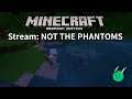 Minecraft stream - NOT THE PHANTOMS