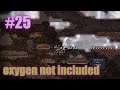 【攻略編】Oxygen Not Included#25【Oxygen Not Included】