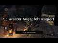 Video 48  Schwarzer Augapfel reagiert.   Dark Souls Remastered