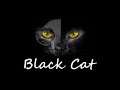 WHY DID YOU KILL THE CAT? Black Cat (Part 1)
