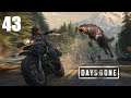 DAYS GONE Gameplay Walkthrough | PART 43 - KEEP YOUR FRIENDS CLOSE | No Commentary