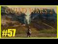 Guild Wars 2 🧙🏼 57 - Ein Wiedersehen mit den Freunden 🧙🏼 Let's Play