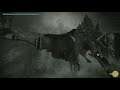 PS4 PRO  汪達與巨像 Shadow of the Colossus  HARD難度 實況遊玩 PART.5