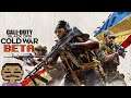 Call Of Duty Black Ops Cold War Beta