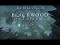 Let's Play ESO - Blackwood: Deadlands [Blind] [Deutsch] Part 73 - Totlicht
